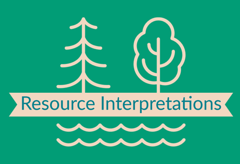 Resource Interpretations